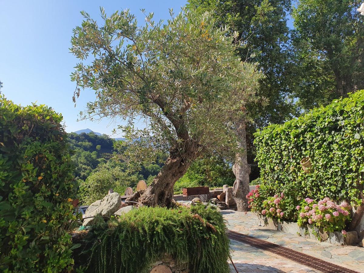 Maison De Charme Avec Piscine Et Vue Exceptionnelle Scolca ภายนอก รูปภาพ