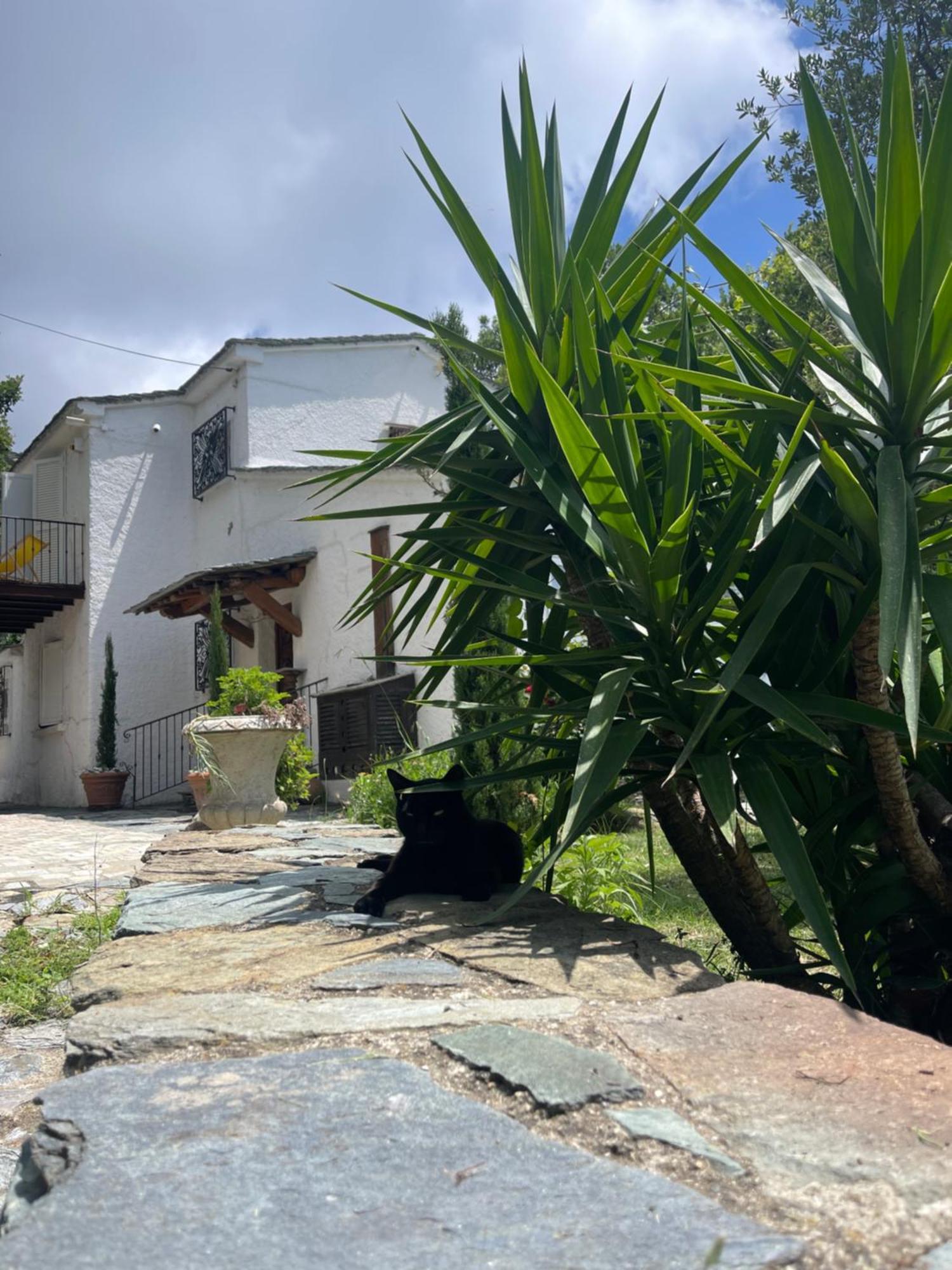 Maison De Charme Avec Piscine Et Vue Exceptionnelle Scolca ภายนอก รูปภาพ